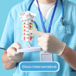 Disco Intervetebral